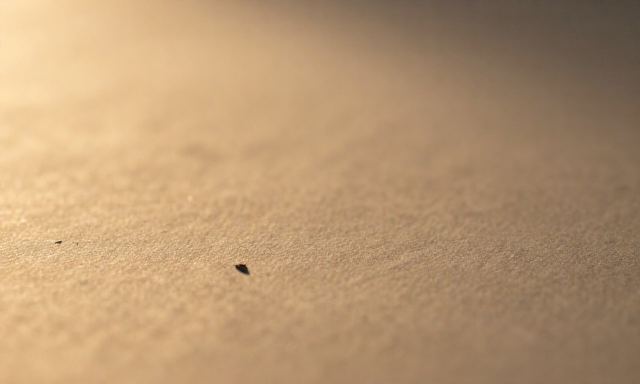 뉴스 관련 이미지 - 뉴스 소비의 시대, 우리가 놓치고 있는 진짜 정보의 가치는 무엇일까?